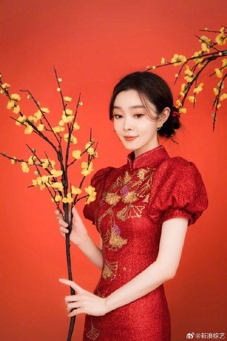 宋轶旗袍装春晚视频,宋轶旗袍装春晚视频，传统与现代的完美交融