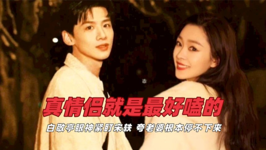 宋轶白敬亭的电视剧合集,宋轶与白敬亭，荧幕情侣的精彩合集