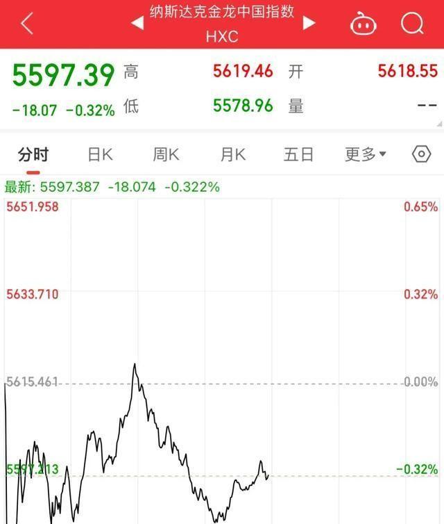 白银多少钱一克价格查询,白银价格，一克之差，市场波动的微妙体现