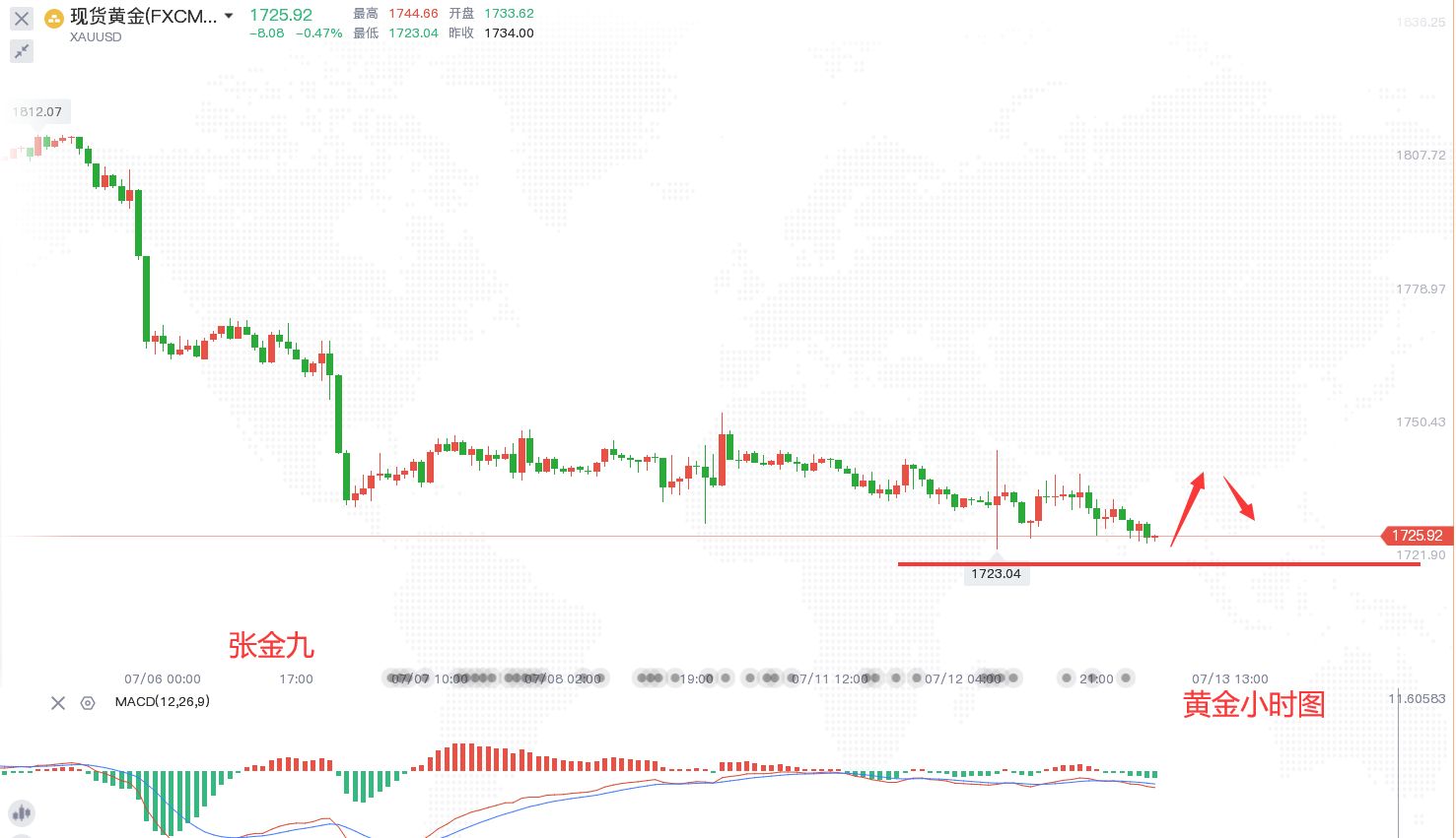 金价行情 今天,今日金价行情，市场动态与投资策略分析