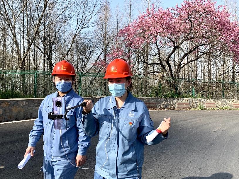 国际原油价格实时行情,全球能源脉动，国际原油价格实时行情的深度解析