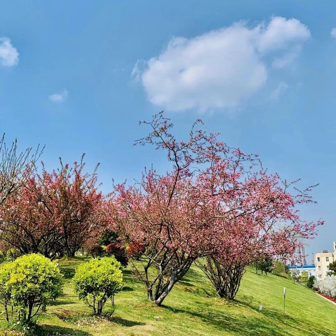 原油期货实时行情走势,原油期货实时行情走势，全球能源市场的脉动与投资者的风向标