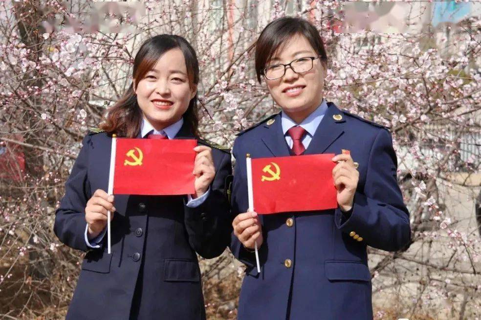 纸黄金今日价格查询,纸黄金今日价格查询，投资者的避风港与市场动态的晴雨表