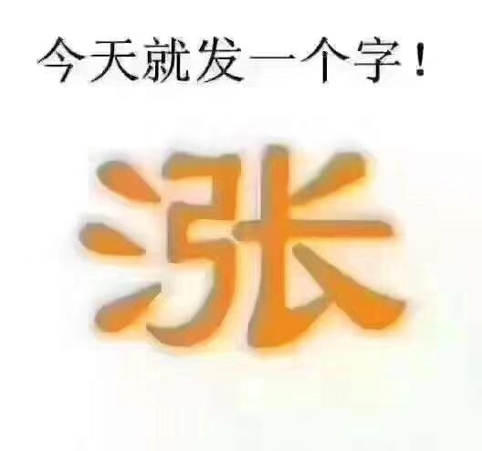 个人搭建 第242页