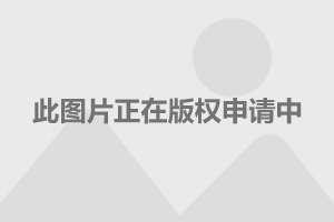 上海现货白银实时行情,探索上海现货白银实时行情，市场动态与投资策略