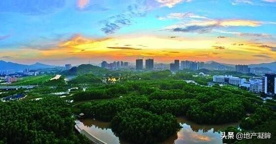 2020年下半年黄金的预测,2035年下半年黄金市场的深度剖析与未来展望
