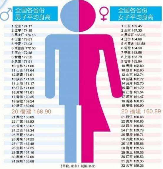 3d南方双彩网走势图表,3D南方双彩网走势图表，透视数字背后的奥秘