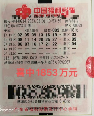 2023年中国福利彩票双色球开奖结果,2038年中国福利彩票双色球开奖结果，梦想与希望的交汇
