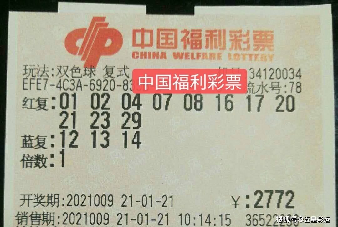 双色球24019期晒票分享,双色球24019期晒票分享——梦想与幸运的碰撞