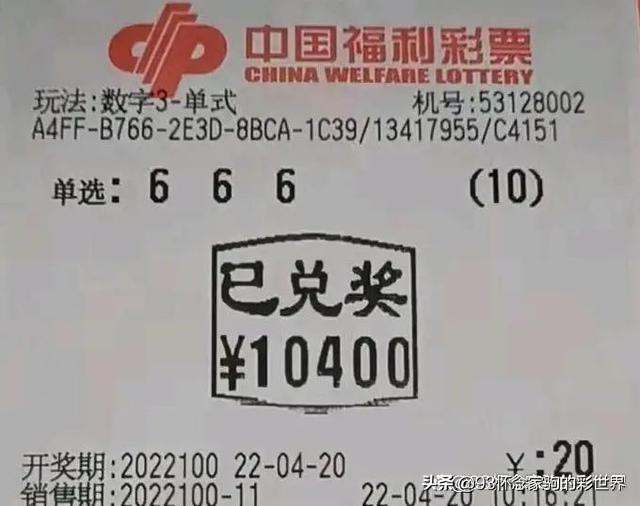 排列三开奖号今天的,排列三今日开奖号揭秘，数字游戏中的智慧与乐趣