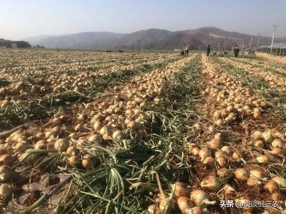 梦想与现实 第2页