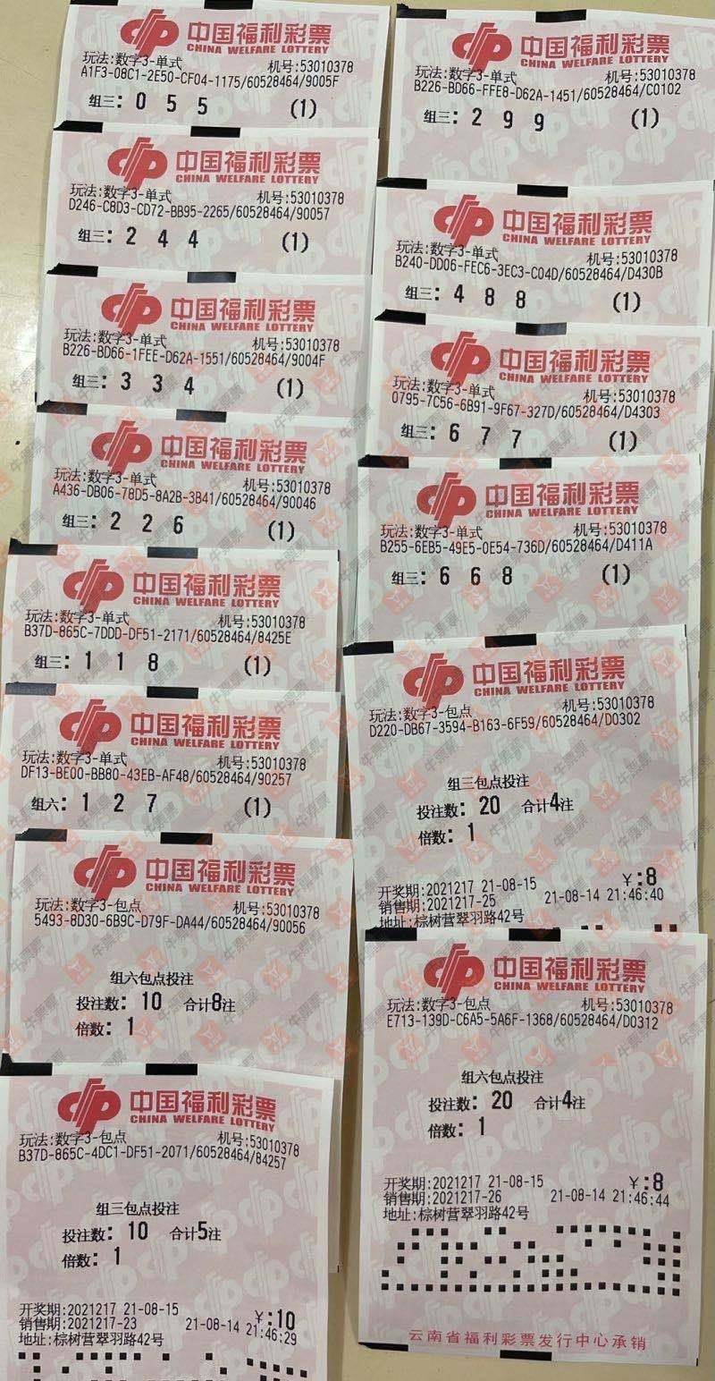 今日福彩3d开机试机号牛彩网,今日福彩3D开机试机号，揭秘背后的数字游戏与幸运之道
