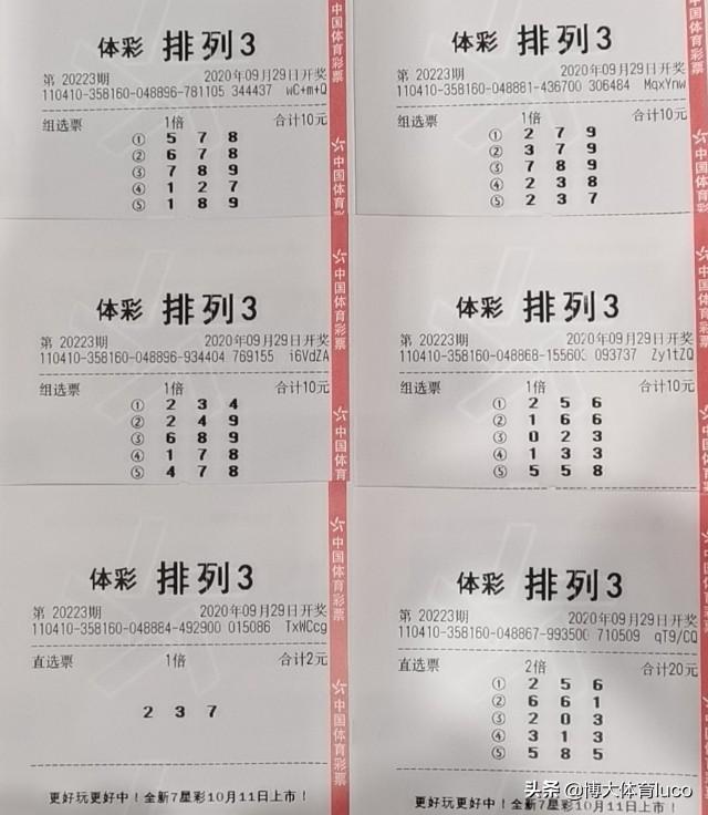 今日的排列三开奖号码,今日排列三开奖号码，数字游戏中的智慧与幸运