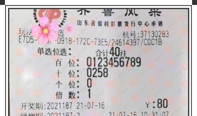 福彩3d图山西彩民乐,福彩3D图，山西彩票的欢乐源泉