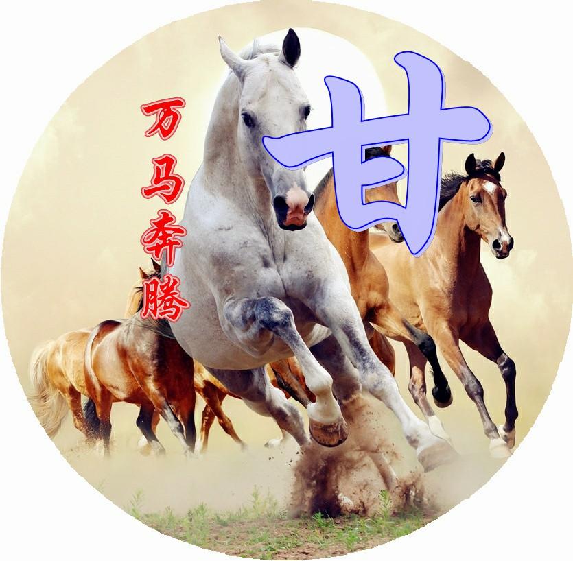 双色球开奖结果114期时间,探索双色球124期开奖的奥秘与时间背后的故事