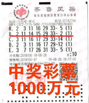 中国海南彩票网正规吗,海南彩票网，正规性解析与购彩指南
