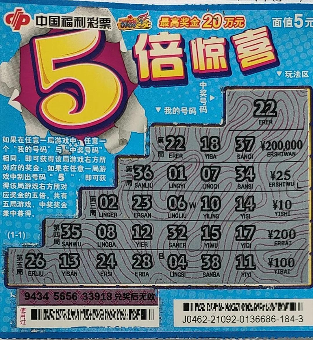 福建22选5中奖查询,福建2D彩票，揭秘选5中奖查询的奥秘