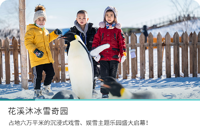 雪缘园app下载,雪缘园app下载，探索冰雪世界的奇妙之旅