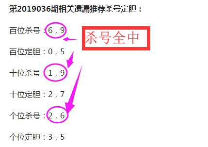 3d开奖结果查询2022029,3D开奖结果查询，2019年新春的幸运之旅