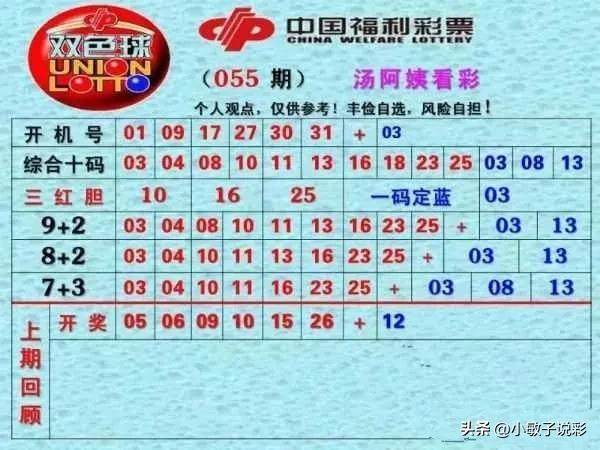 双色球历史记录查询搜索,探索双色球历史记录，揭秘彩票背后的数字奥秘