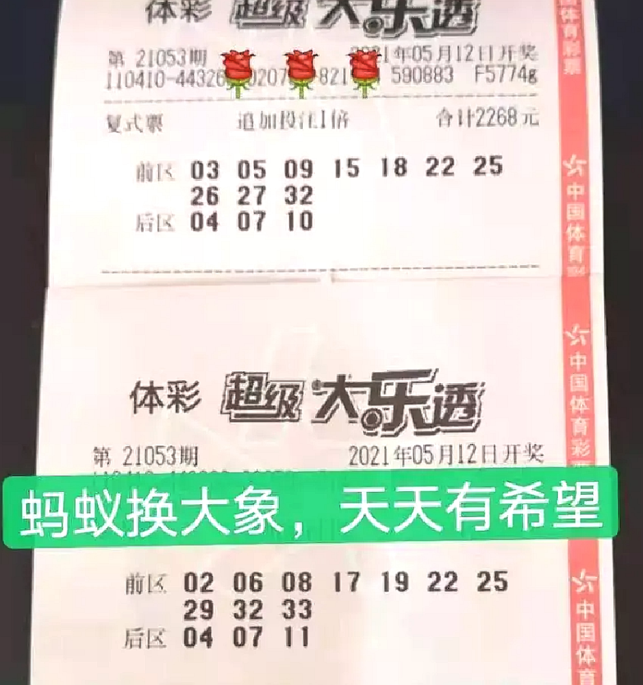 今晚彩票开奖结果是什么,今晚彩票开奖结果揭秘，梦想与现实的交汇
