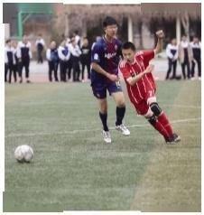四场进球开奖号码查询,探寻四场进球开奖号码的奥秘，一场足球与数学的奇妙邃合