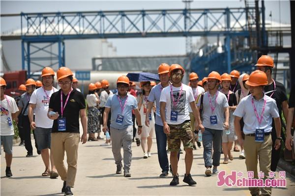 山东十一选五计划详情,山东十一选五计划，精准施策，共筑发展新篇章
