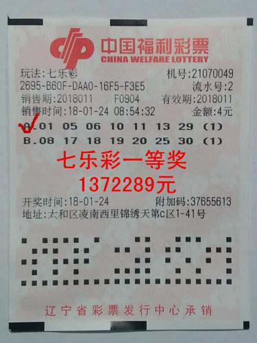 中国福利彩票的中奖规则,揭秘中国福利彩票的中奖规则，从选号到兑领的全面解析
