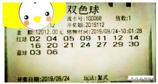 2元网专家杀号,2元网专家杀号，揭秘网络彩票的智慧与风险