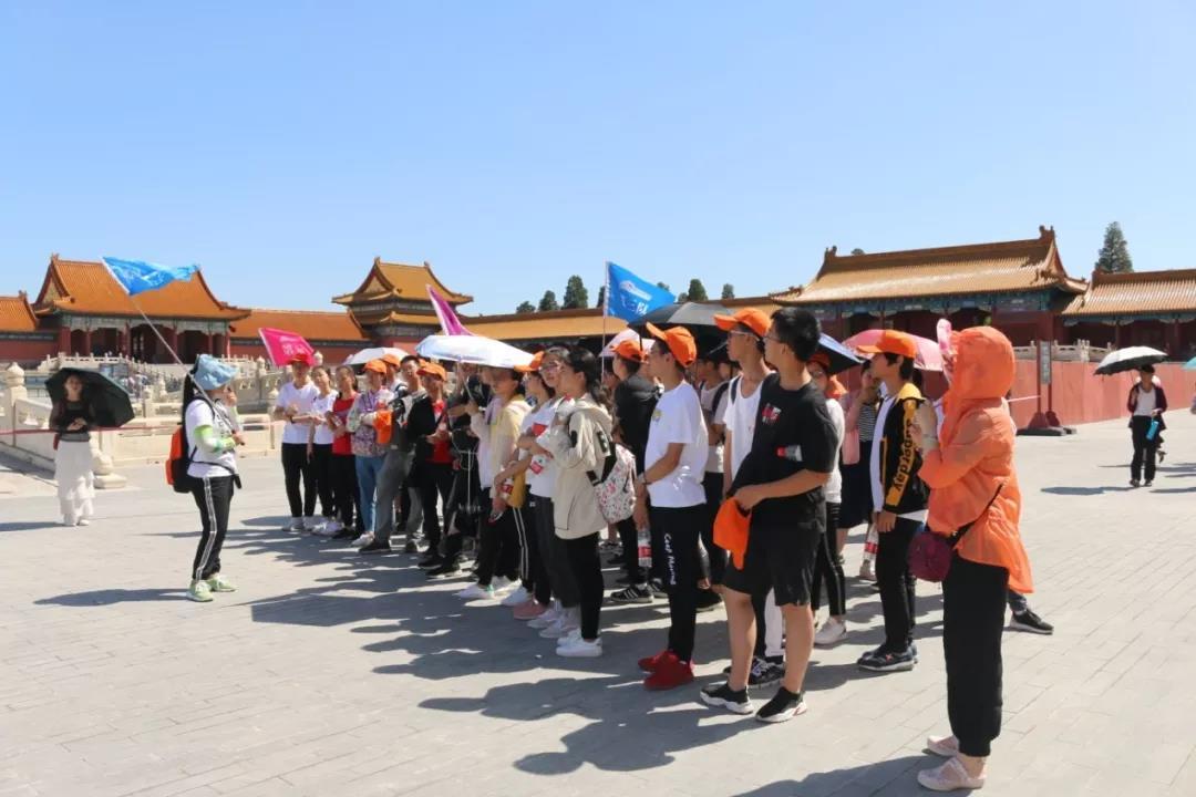 中华彩摘网中华彩摘网，汇聚多彩文化，点亮智慧之光