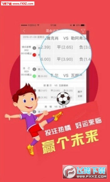 二四六天天好彩每期文字赕料探索二四六天天好彩的奥秘，每期文字赕料揭秘