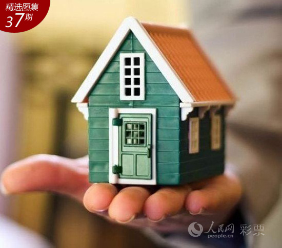 一肖中特今晚一肖中特，今晚揭晓的幸运之谜