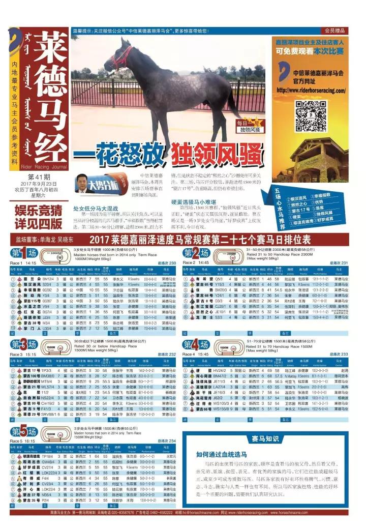 正版马会传真资料探索正版马会传真资料的魅力与价值