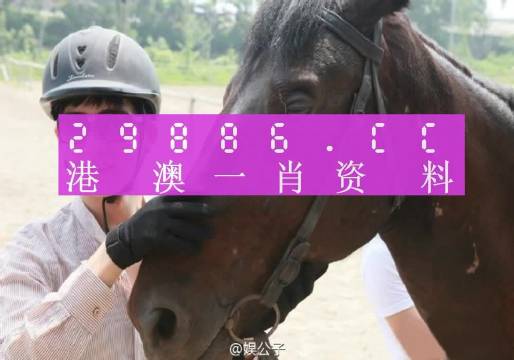 澳门一肖一码必中一肖一澳门一肖必中，揭秘背后的真相与理性思考