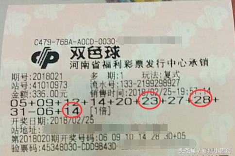 2 真相与影响