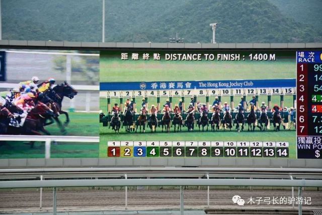 香港马会资枓大全20192019年香港马会资料大全，探索赛马的魅力与慈善的辉煌