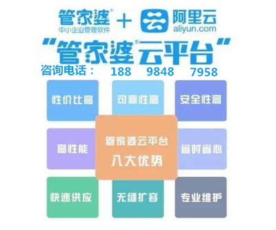 管家婆资料精准一句真言管家婆资料，一句真言揭示精准之道