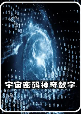 www.293520.com探索数字背后的秘密，揭秘www.2935016874X的奇妙世界
