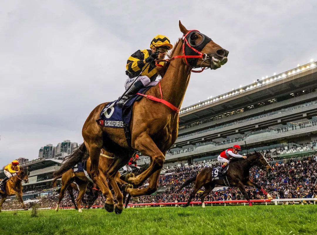 今期马会传真今期马会传真，揭秘香港赛马的魅力与影响