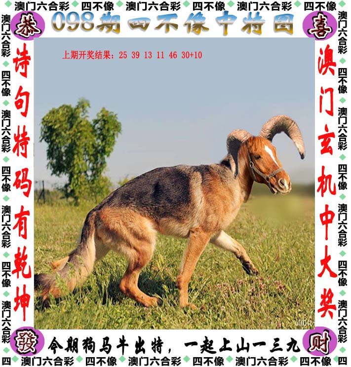 626969四不像图探索神秘数字，629357与四不像图的奇遇