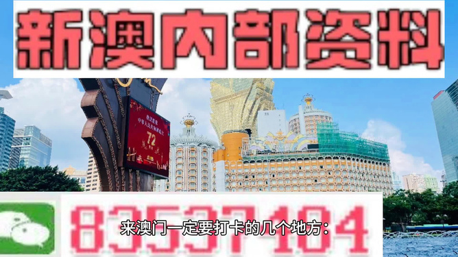新澳门视频网站大全最新入口下载安装探索新澳门视频网站大全，最新入口、下载与安装指南